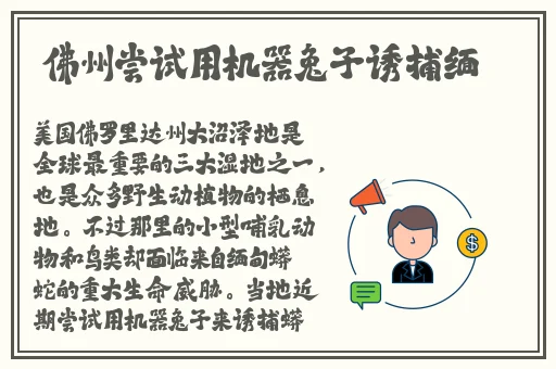 暴躁老阿姨csgo剧